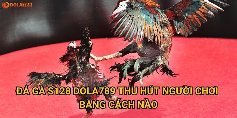 Đá gà S128 Dola789 thu hút người chơi bằng cách nào?