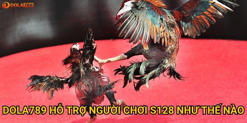 Dola789 hỗ trợ người chơi S128 như thế nào?